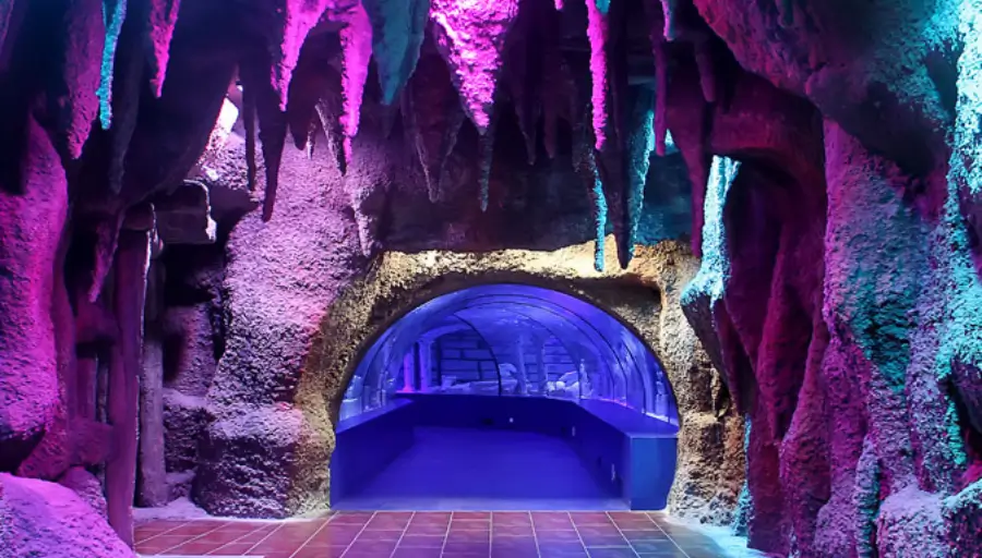 Antalya Aquarium & Face2Face Wax Museum photo 5