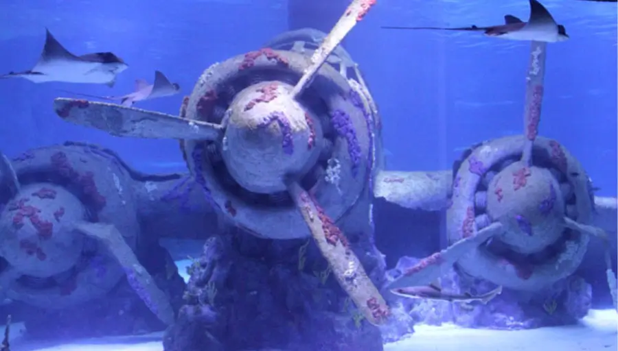 Antalya Aquarium & Face2Face Wax Museum photo 6