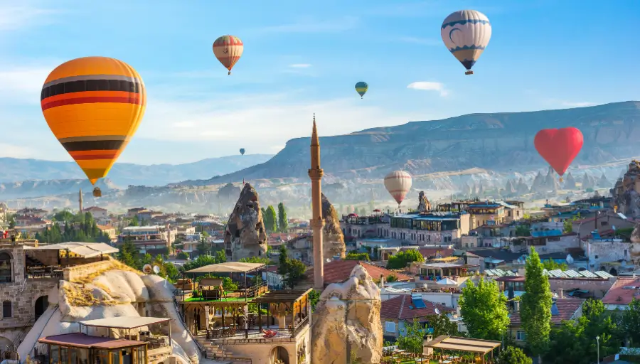 Nasze Bestsellery photo 6