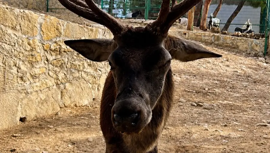 Zielony Kanion i Zoo – Rodzinna Przygoda photo 14