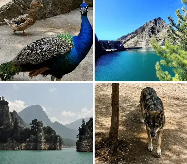 Green Canyon & Zoo – A Family Adventure